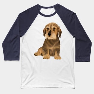 Wirehaired Dachshund sitting dog Baseball T-Shirt